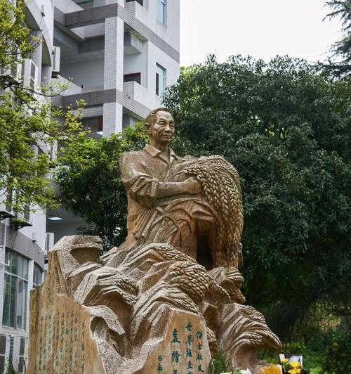 清明时节怀念袁隆平：哪些摘抄好句最能表达思念？（《清风拂过，忆君如梦——袁公隆平》）