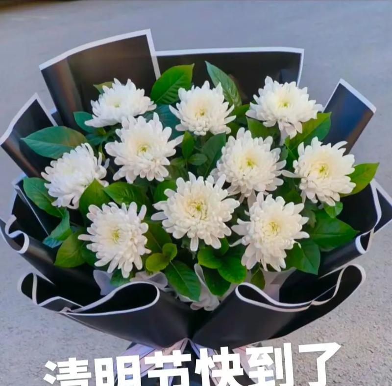 清明前夕的母亲短句好句有哪些？（《清明前夕，忆母亲》）