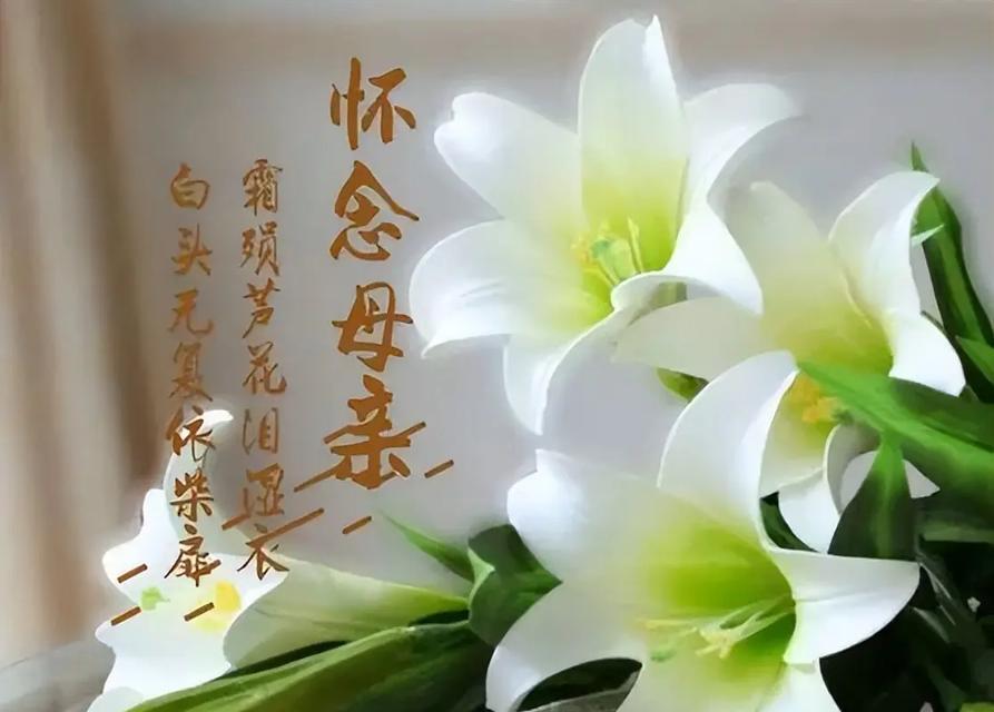 清明前夕的母亲短句好句有哪些？（《清明前夕，忆母亲》）