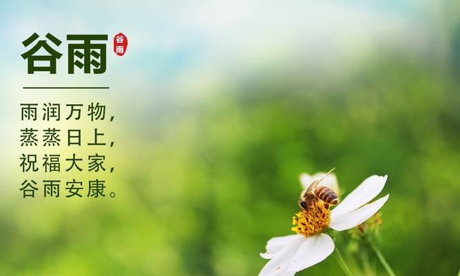 有关谷雨的两句话怎么写的语录的句子有哪些（《细雨润物，谷雨之韵》）