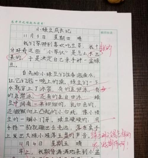 有关谷雨种豆的作文的作文题目（《豆苗青青，青春萌动》）