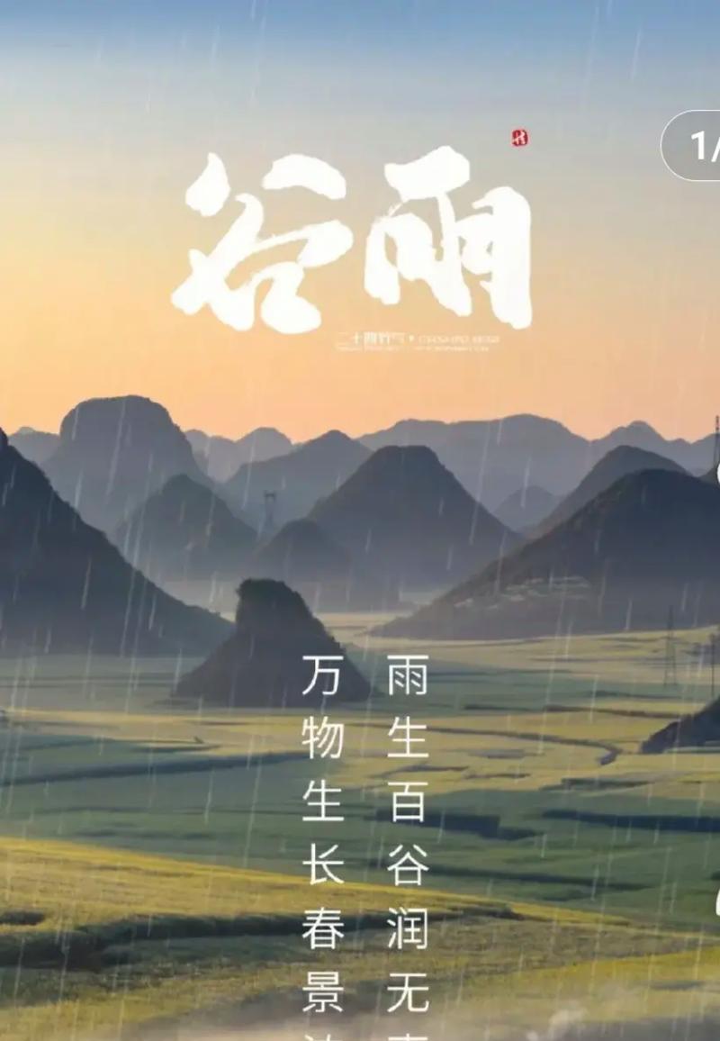 以谷雨运营工作文案为话题的作文怎么写（《雨中漫步，谷地奇遇记》）