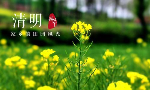 清明时节田野风景如何描绘？（《清明踏青，心旷神怡》）