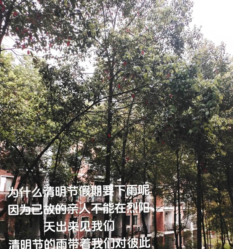 有关我们的清明随手拍句子的短句怎么写（《清明绘影：古风随手拍》）