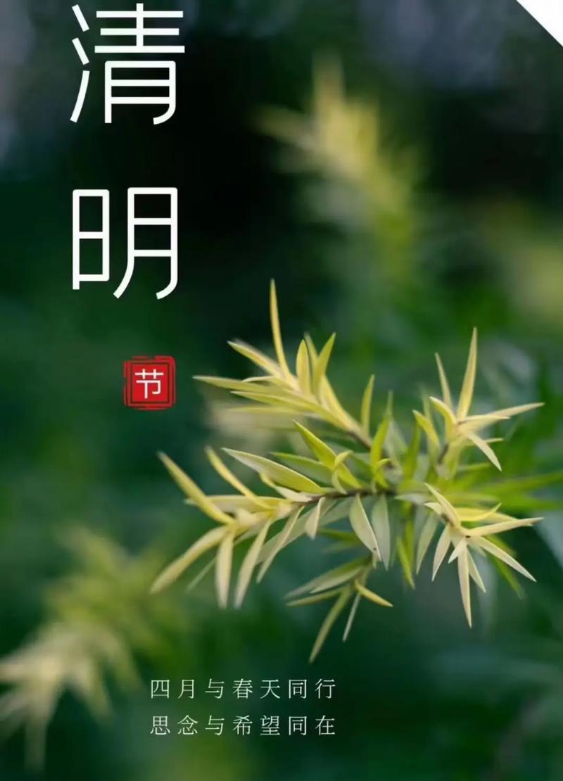 有关我们的清明随手拍句子的短句怎么写（《清明绘影：古风随手拍》）