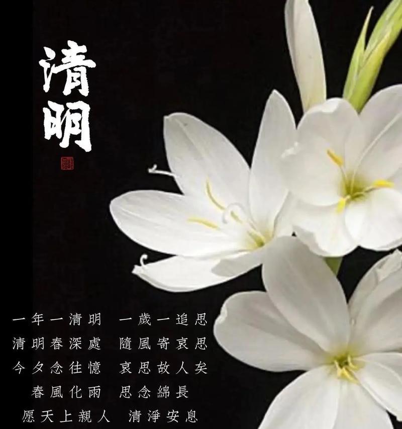 清明怀思是什么意思（《翠微忆思——清明祭祖行》）