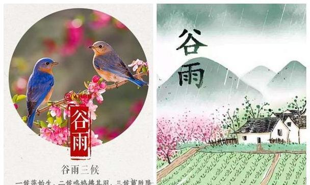 谷雨三候讲了哪些植物与动物（谷雨三候之唯美篇章）