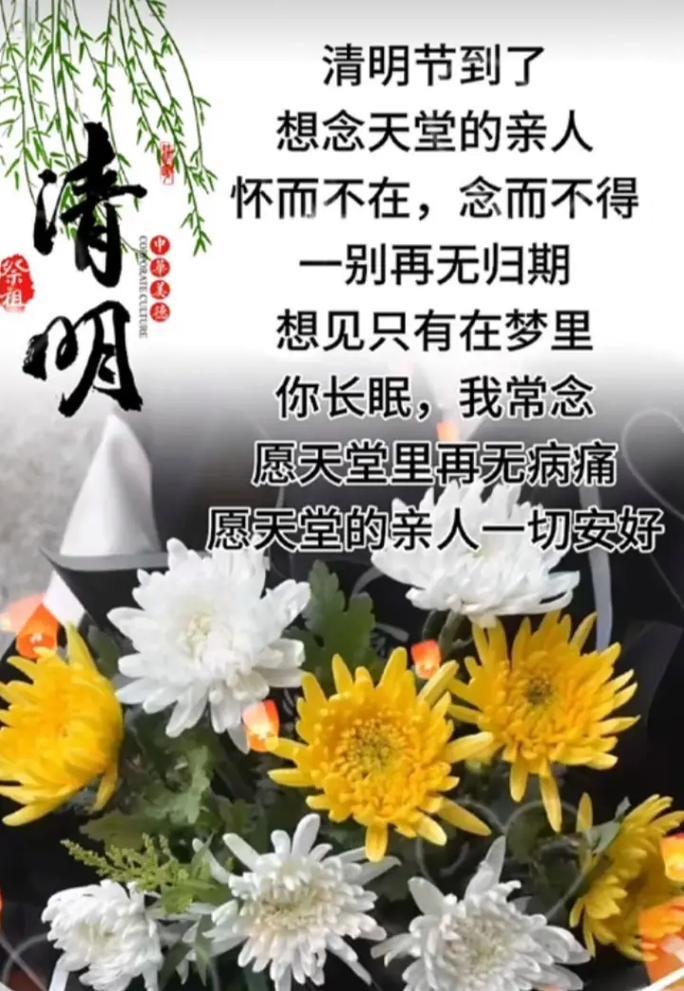 居家当思清的居家是什么意思（《清明时节雨纷纷，居家细品传统韵》）
