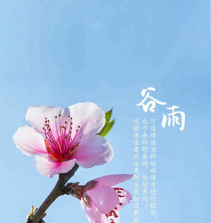 有关谷雨时节美丽的春景金句的句子怎么写（《谷雨润物细无声，春光一刻值千金》）