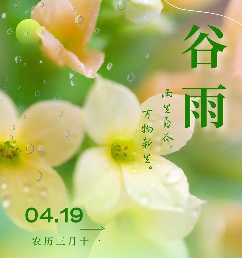 春天的最后一段时间叫什么（《谷雨末梢，润物无声》）