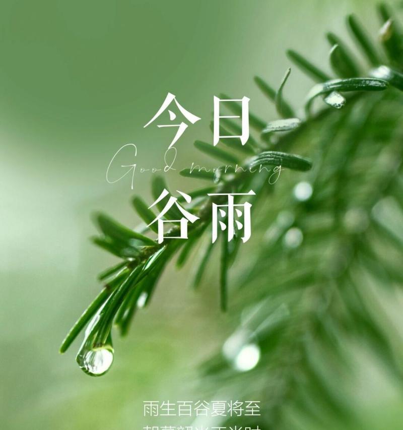 有关谷雨公司工作文案的作文怎么写（《谷雨时节的小种子计划》）