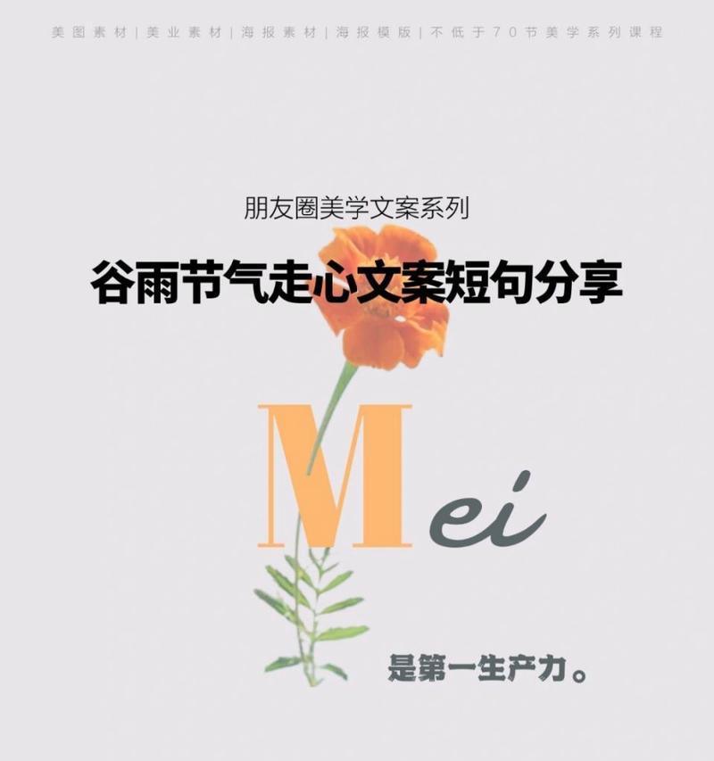 有关谷雨公司工作文案的作文怎么写（《谷雨时节的小种子计划》）