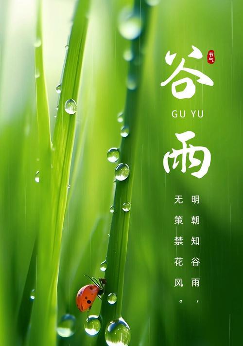 谷雨的感想体会1000字怎么写（《谷雨时节赏幽境》）