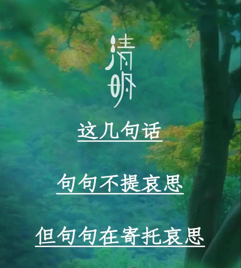 有关清明祭奠亲人的感悟短句的短句怎么写（《烟雨祭思：清明之殇与情深》）