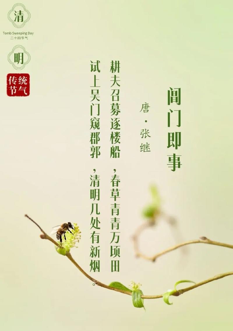 清明节气有哪些优美的短句和好句？（《清明踏青：寻觅芳华与岁月的交响》）