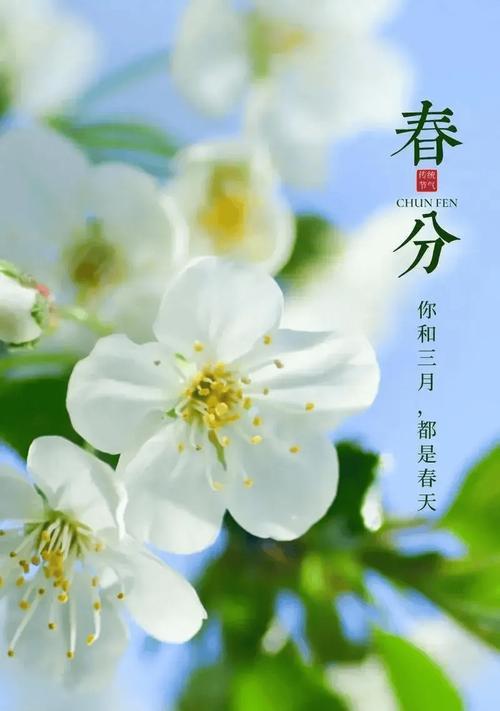 春分金句好句有哪些新变化？（《春分：岁月静好，花开有时》）