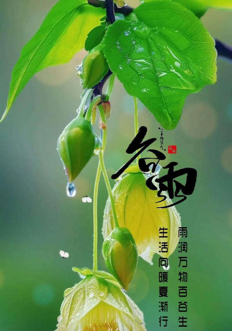 有关谷雨草木语录的好句有哪些（《谷雨时节草木生，春风化雨润心田》）
