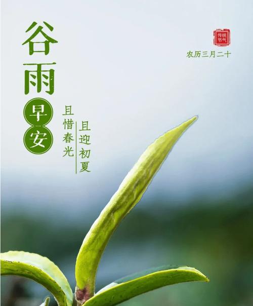 谷雨中的希望语录好句有哪些？（谷雨添新绿，希望润心田）