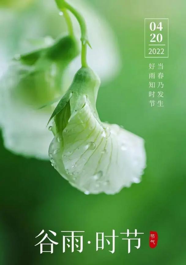 谷雨中的希望语录好句有哪些？（谷雨添新绿，希望润心田）