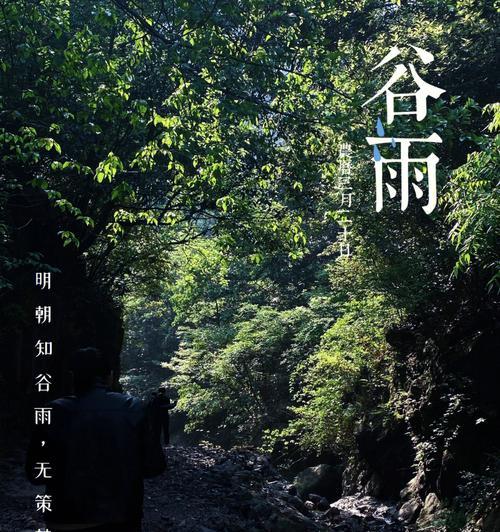 谷雨时节公园景色如何描绘？（《谷雨时分，翠影绘春》）