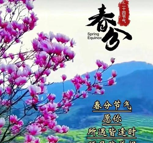 春天的春分有哪些金句好句？（《春分赋》）