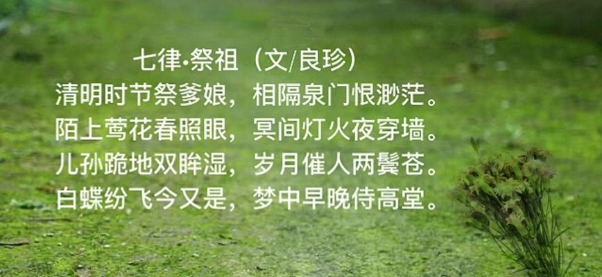 有关写清明祭祖的高中短句的短句怎么写（《清明追思：岁月静好，缅怀先人》）