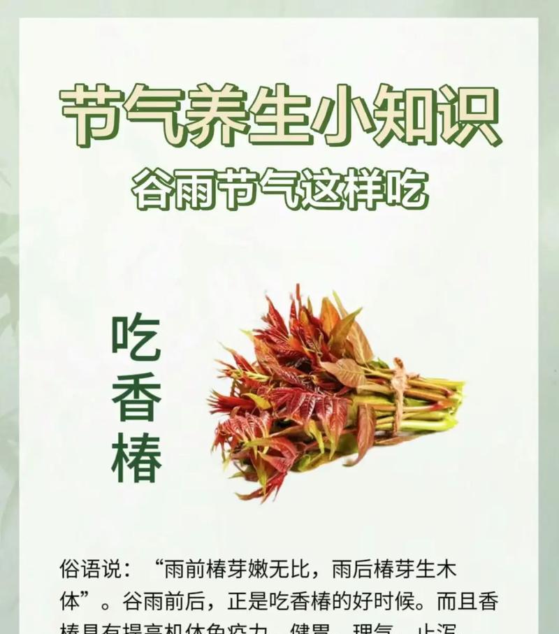 谷雨的美食以及含义（《谷雨时分，品茗赏春，食以养心》）