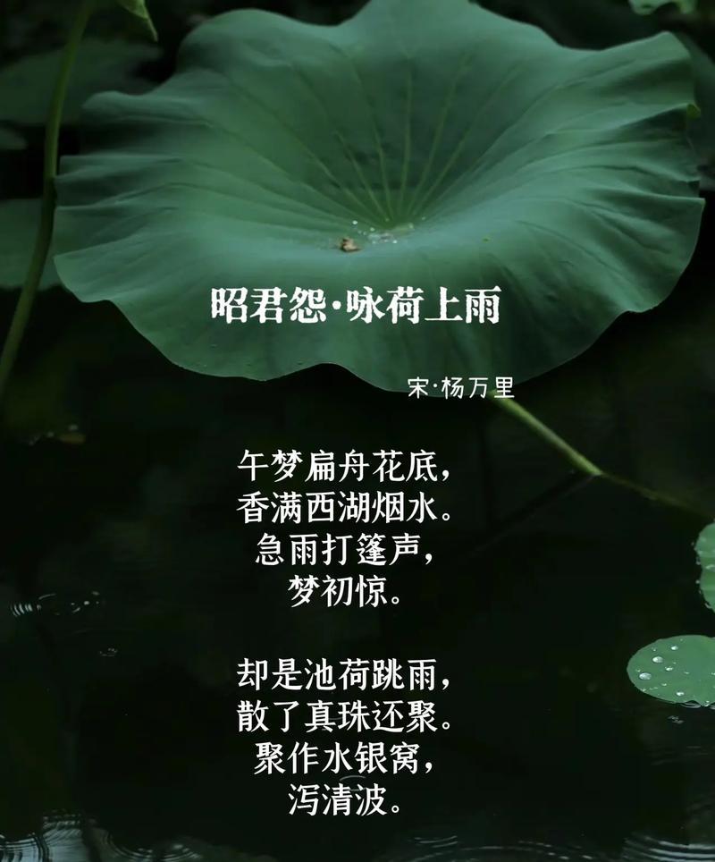 有关谷雨节气的荷花摘抄的短句有哪些（《谷雨荷韵：夏意初盛的诗意绽放》）