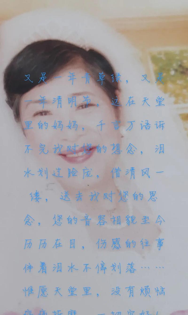 有关清明节怎么纪念母亲摘抄的短句子（《忆母情深：清明祭思》）