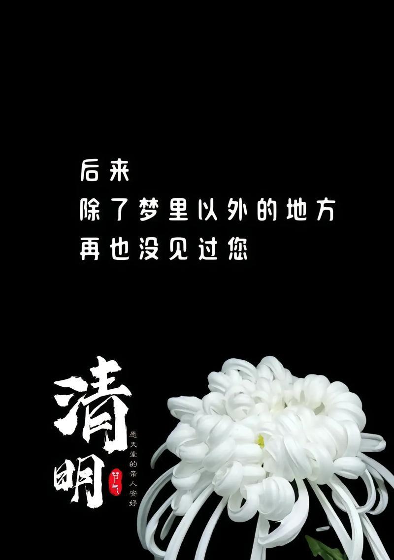有关清明节怎么纪念母亲摘抄的短句子（《忆母情深：清明祭思》）