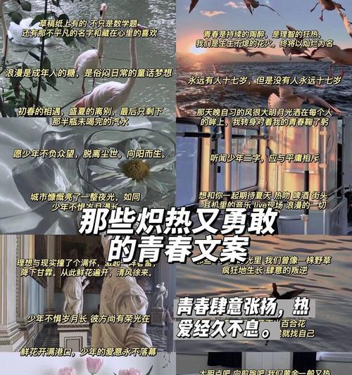 青春分成两个部分句子好句是什么意思？（《青春两分：古韵今风》）