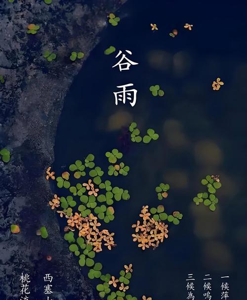 谷雨时节的烟雨心情句子好句？（《烟雨蒙蒙，谷雨情深》）