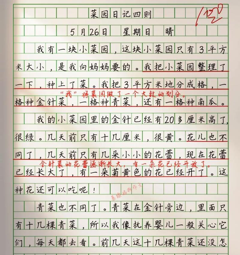 有关谷雨时节的小菜园作文怎么写的作文400字（《雨润菜园，心种希望——我的谷雨时节小菜园》）