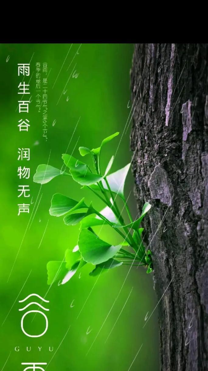 谷雨春啥意思（《春雨谷雨润心田》）