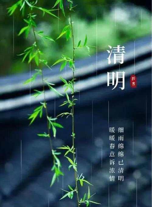 关于清明的植物（《清明风物：桃花笑春风》）