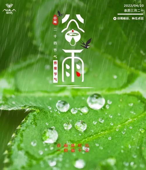 谷雨时节如何用语录应对疫情？（谷雨润疫尘，万物生新机）