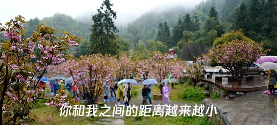 张家界的大峡谷美景怎么写（《张家界大峡谷雨韵》）