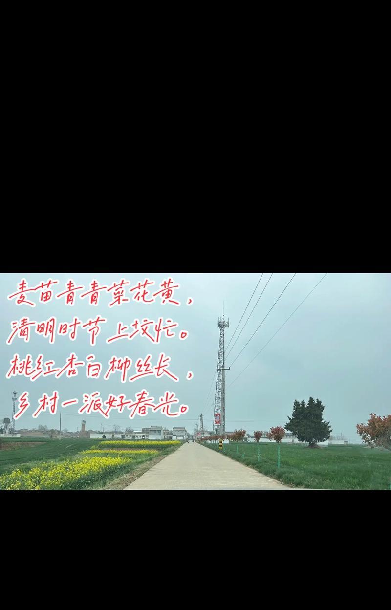 有关清明过后的春景句子的短句怎么写（《清明后春光乍现·绮丽绘卷》）
