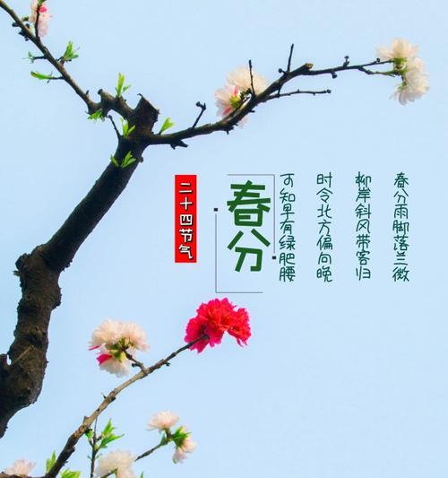 春分时节有哪些美丽的金句和好句？（《春分物语：翠绿生辉时》）