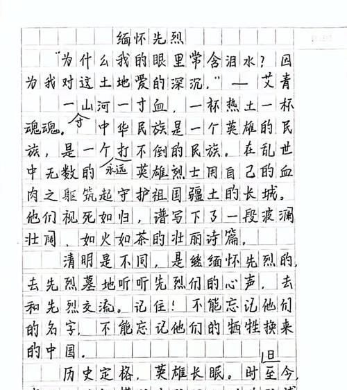 有关清明记英烈作文600字的作文怎么写（《翠柳依依，缅怀先烈》）