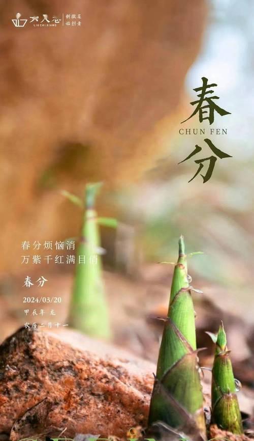 春分时节有哪些经典语录好句？（《春分：阴阳和，万象新》）