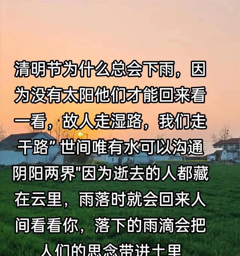 清明节雨中哀思短句好句有哪些？（《雨润清明：花落人亡两不问》）
