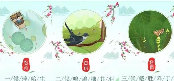 关于谷雨的特点（《润物无声：谷雨时分的诗意篇章》）