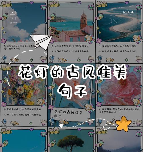 顺义看花的地方（《顺义花灯夜：月映春光醉东风》）