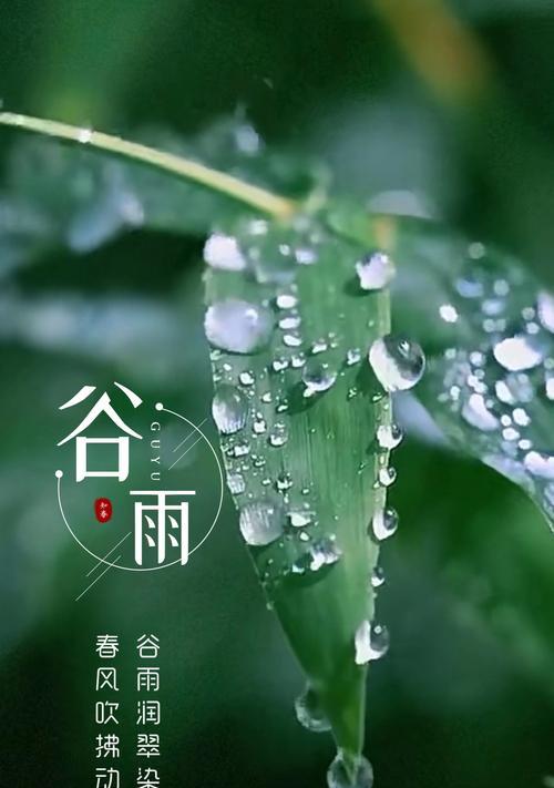 谷雨时节的夏天气息如何捕捉？（《谷雨润夏，诗韵悠长》）