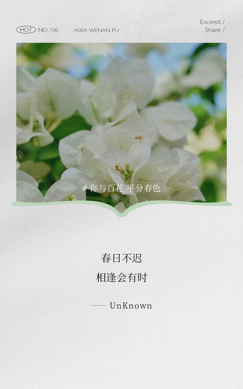 春分时节如何用金句表达体面？（《春分绘：古韵今咏》）