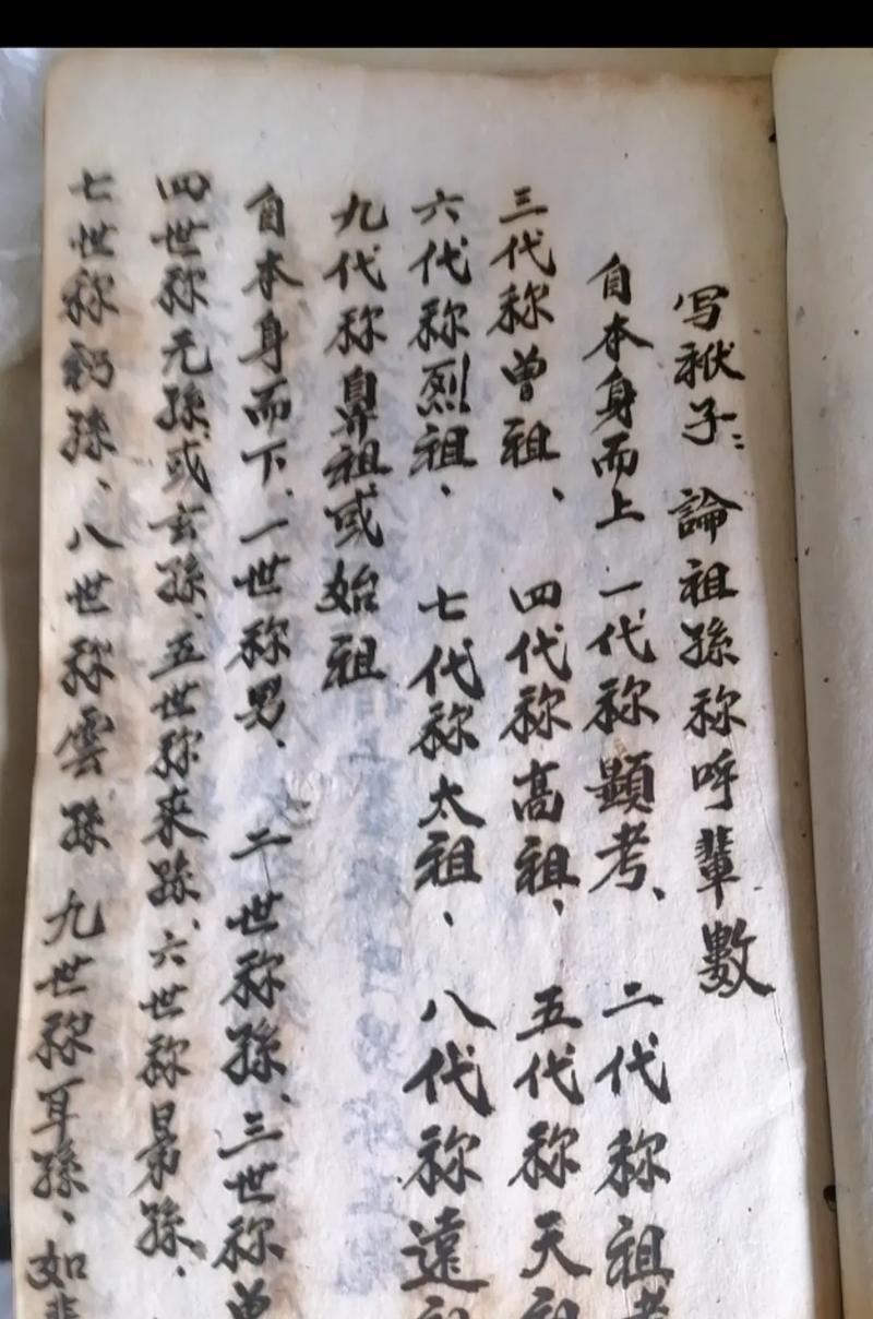 寻根问祖怎么写范文（《踏青寻根，清明之忆》）