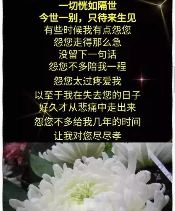 清明怀念内容怎么写（《清明思古：幽兰空谷，怀念长存》）