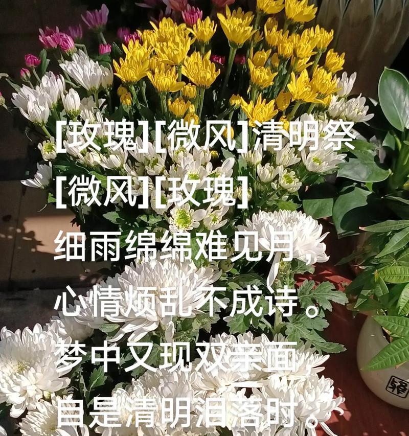 有关梅州清明风俗及寓意句子的句子有哪些（《梅邑青冥序：清明风俗与意蕴之绘》）
