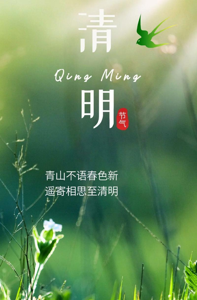 说说自己的清明节怎么过（《清辉如许，自赏春日芳华》）